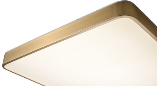 Накладной светильник Zortes Monna ZRS.1209.05 в Нижнем Новгороде фото 6