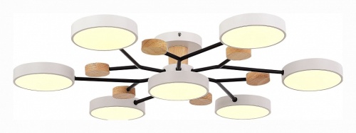 Потолочная люстра EVOLUCE Faema SLE6006-502-07 в Нижнем Новгороде фото 6