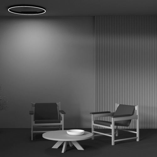 Накладной светильник Maytoni Halo MOD058CL-L50BK в Нижнем Новгороде фото 2