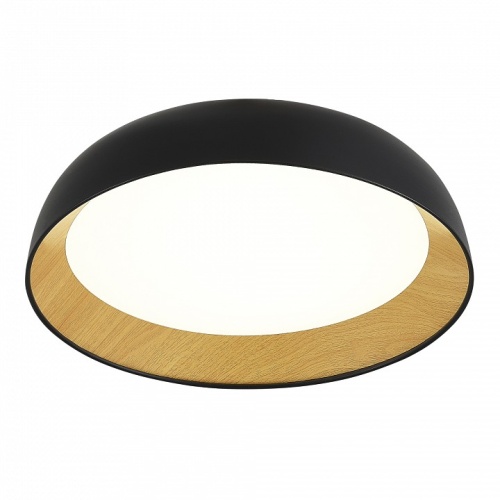 Накладной светильник EVOLUCE MUSE SLE1812-402-01 в Нижнем Новгороде фото 6