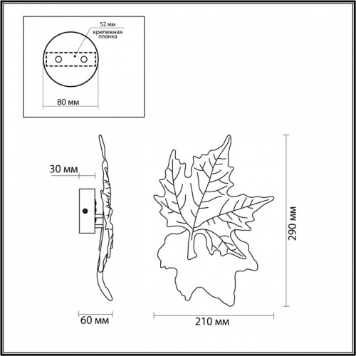 Накладной светильник Odeon Light Eva 4371/6WL в Нижнем Новгороде фото 3