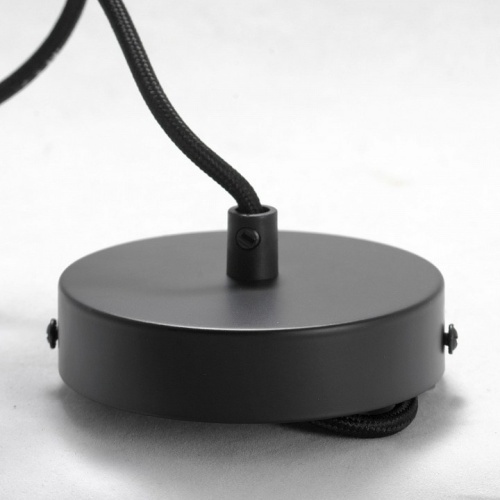 Подвесной светильник Lussole Truman LSP-8145 в Нижнем Новгороде фото 2