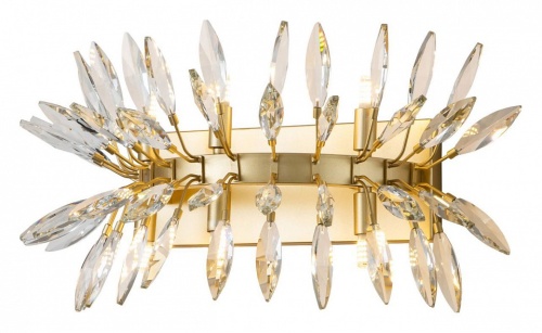 Накладной светильник Favourite Rays 4058-6W в Нижнем Новгороде фото 3