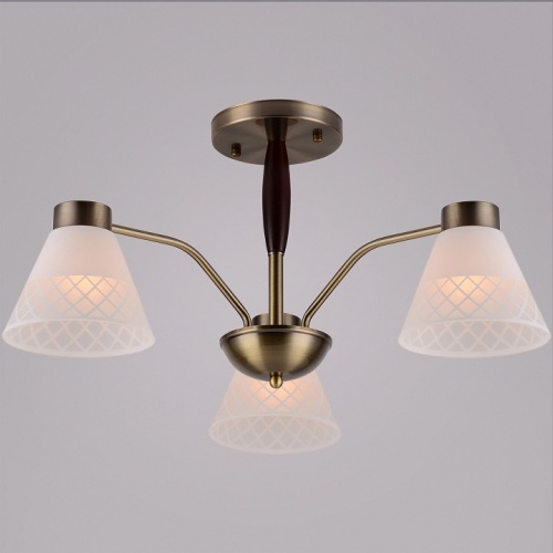 Люстра на штанге 00536-0.3-03 в Нижнем Новгороде фото 2