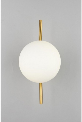 Бра Aployt Jagna APL.312.11.01 в Нижнем Новгороде фото 5