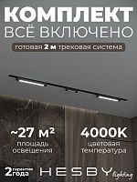 Комплект трековый Hesby Lighting Skylite №10 HSBL_kompl_S010_VI2B4K в Нижнем Новгороде