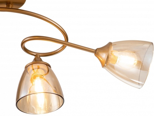 Потолочная люстра Escada Celosia 1112/4P в Нижнем Новгороде фото 3