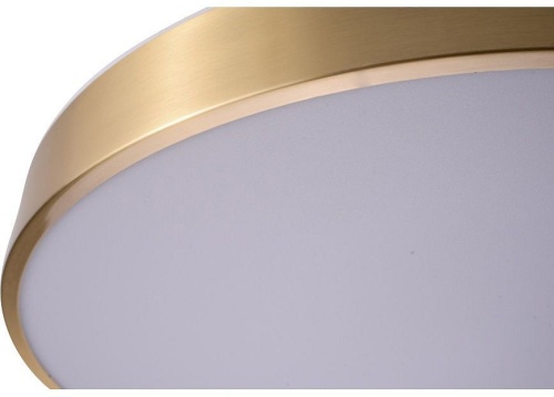 Накладной светильник Zortes Monna ZRS.1209.12 в Нижнем Новгороде фото 7