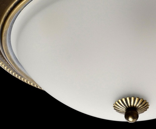 Накладной светильник MW-Light Ариадна 450015503 в Нижнем Новгороде фото 7