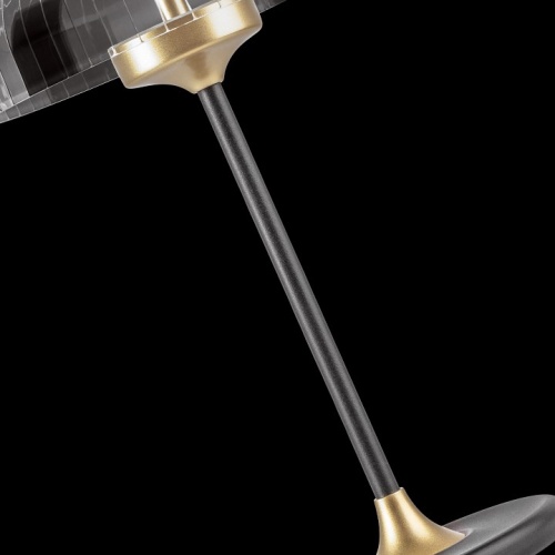 Настольная лампа декоративная Lightstar Acrile 738973 в Нижнем Новгороде фото 2