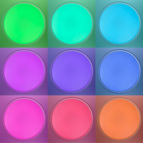 Накладной светильник Citilux BOSS CL751450G в Нижнем Новгороде фото 6