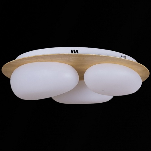 Потолочная люстра 10009-0.3-60W AEROLITE в Нижнем Новгороде фото 2