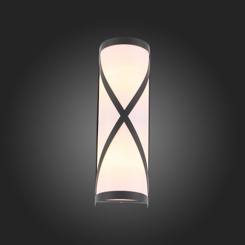 Накладной светильник ST-Luce Agio SL076.411.01 в Малой Вишере фото 2