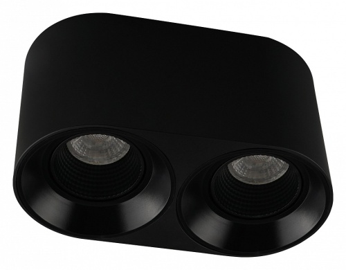 Накладной светильник Denkirs DK3040 DK3096-BK в Нижнем Новгороде