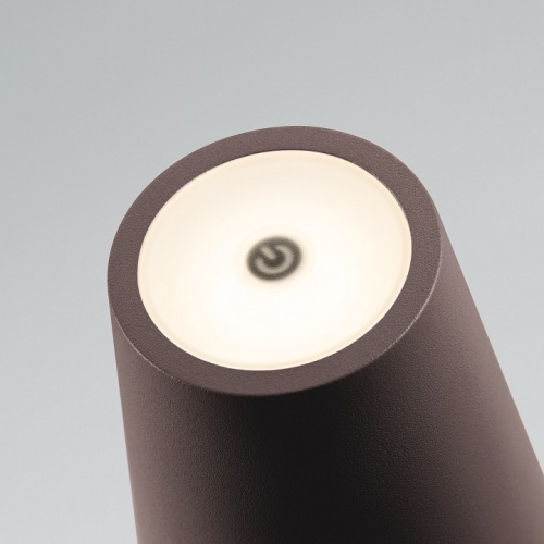 Настольная лампа декоративная Arlight DAISY 058566 в Нижнем Новгороде фото 4