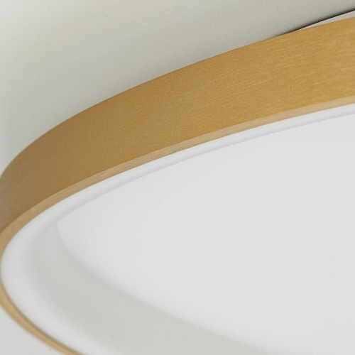 Накладной светильник Citilux GENKA SMART CL756A162 в Нижнем Новгороде фото 4