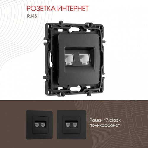 Розетка Ethernet RJ-45 без рамки Arte Milano am-217 217.45-2.black в Нижнем Новгороде фото 4