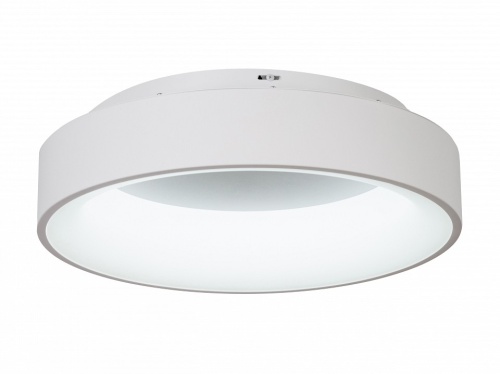 Накладной светильник MyFar Shannon MR2194-1PL в Нижнем Новгороде фото 7