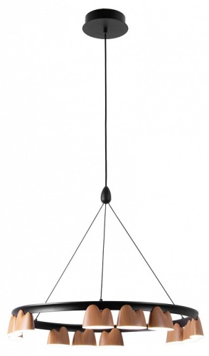 Подвесная люстра Favourite Interline 4266-12P в Нижнем Новгороде фото 2