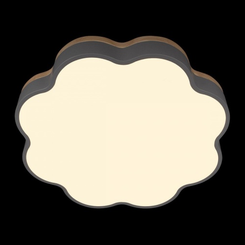 Накладной светильник Loft it Axel 10225/36 Grey в Нижнем Новгороде фото 3