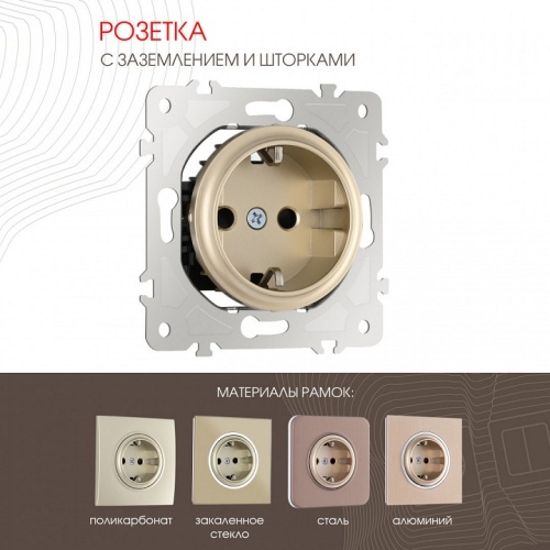 Розетка с заземлением и со шторкой, без рамки Arte Milano am-202 202.40-1.shampan в Нижнем Новгороде фото 7