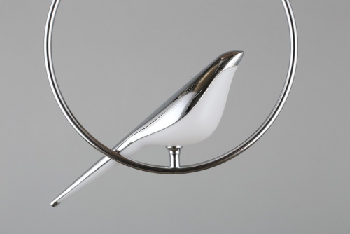 Подвесной светильник Aployt Astor APL.822.16.10 в Нижнем Новгороде фото 10