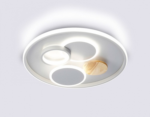 Накладной светильник Ambrella Light FL FL4803 в Нижнем Новгороде фото 6