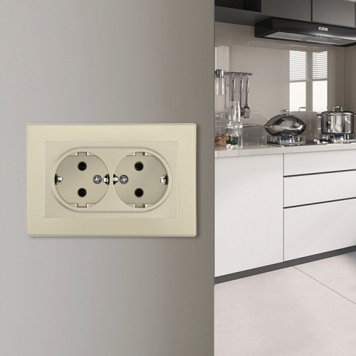 Розетка двойная с заземлением и со шторкой Arte Milano SET06-2 SET06-double-40-2 shampan в Нижнем Новгороде фото 2