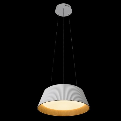 Подвесной светильник Loft it Evans 10224P White в Нижнем Новгороде фото 4