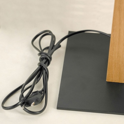 Торшер Lussole Tallapoosa LSP-0606 в Нижнем Новгороде фото 6