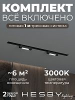 Комплект трековый Hesby Lighting №1 однофазная накладная Skylite HSBL_kompl_S001_VI1B3K в Нижнем Новгороде