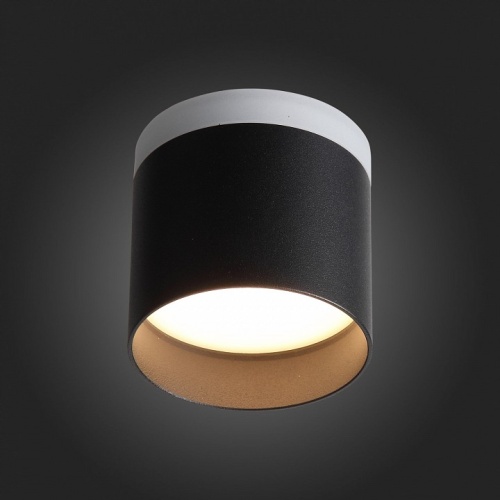 Накладной светильник ST-Luce Panaggio ST102.402.12 в Нижнем Новгороде фото 3