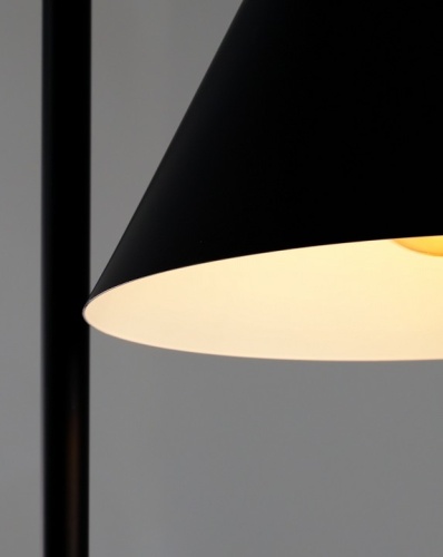 Торшер Moderli Omaha V11591-1F в Нижнем Новгороде фото 5