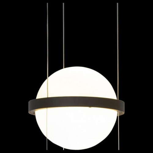 Подвесной светильник Loft it Jardin 10121/B в Нижнем Новгороде фото 2