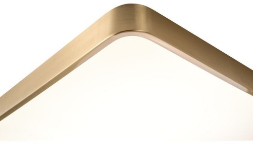 Накладной светильник Zortes Monna ZRS.1209.09 в Нижнем Новгороде фото 4