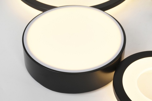 Потолочная люстра Rivoli Aliona Б0066468 в Нижнем Новгороде фото 4