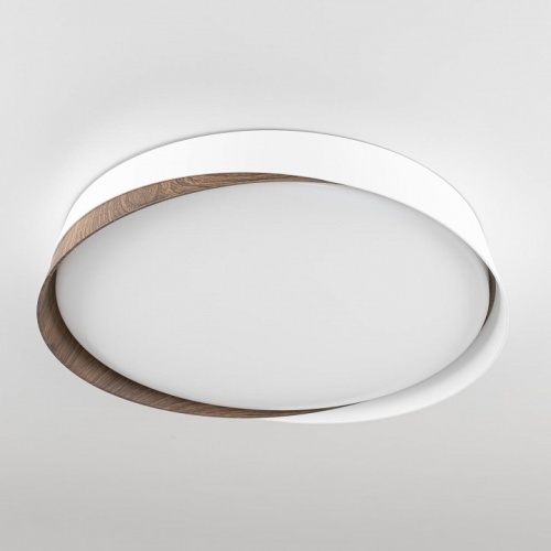 Накладной светильник Citilux BONNY CL754350G в Нижнем Новгороде фото 6