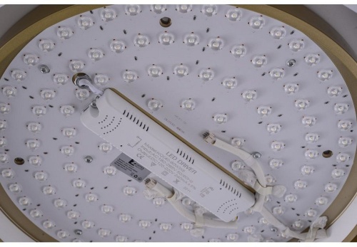 Накладной светильник Zortes Adel ZRS.1200.01 в Нижнем Новгороде фото 16