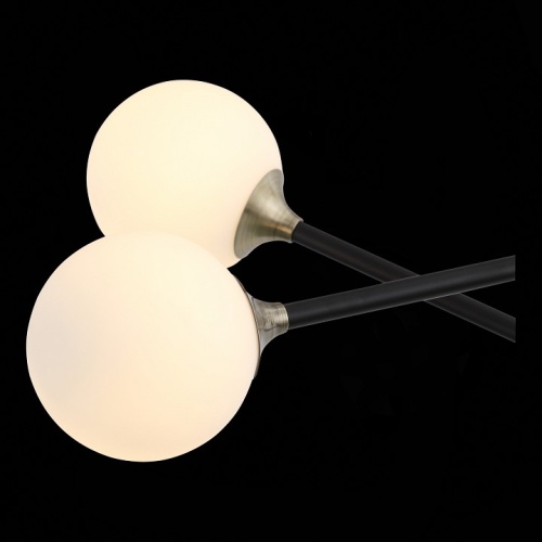 Светильник на штанге ST-Luce Bastoncino SL429.403.02 в Сельцо фото 9