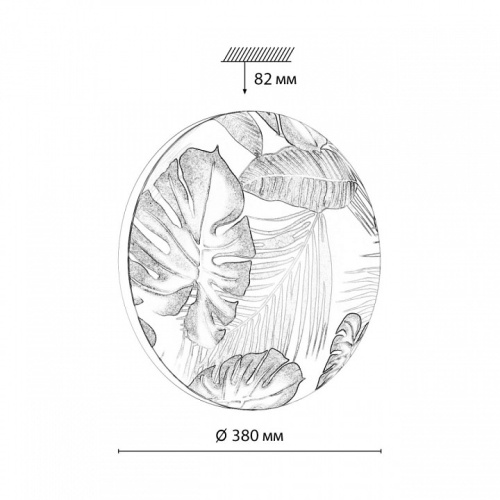 Накладной светильник Sonex Flori 7748/DL в Нижнем Новгороде фото 7