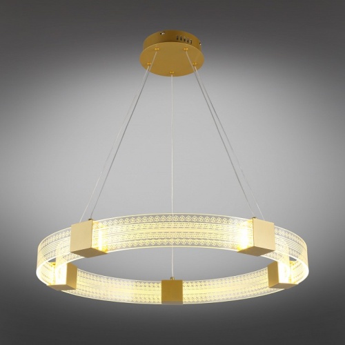 Подвесной светильник Aployt Misia APL.030.03.50 в Нижнем Новгороде фото 15