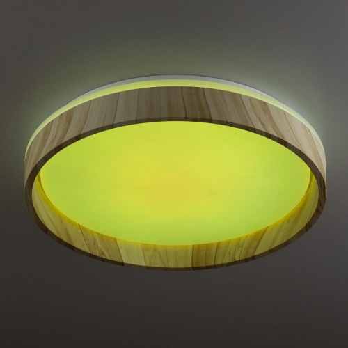 Накладной светильник Citilux ENZO CL753352G в Нижнем Новгороде фото 9