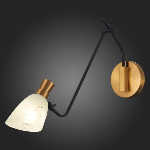 Бра EVOLUCE Lita SLE205401-01 в Нижнем Новгороде фото 2