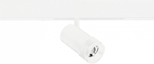 Светильник на штанге ST-Luce SKYLINE 220 ST658.596.20 в Нижнем Новгороде