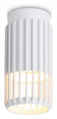 Накладной светильник Ambrella Light TN TN51672 в Нижнем Новгороде