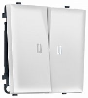 Выключатель двухклавишный с подсветкой без рамки Ambrella Volt MS MS824015 в Нижнем Новгороде