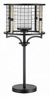 Настольная лампа декоративная Indigo Castello 10014/1T Black в Арзамасе