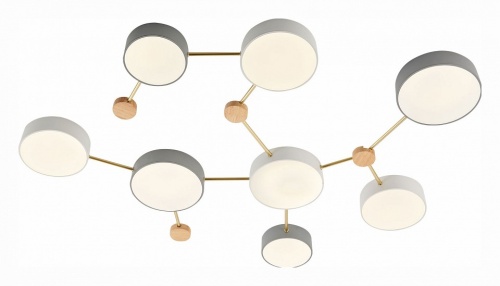 Накладной светильник EVOLUCE Dossena SLE600102-08 в Нижнем Новгороде фото 3