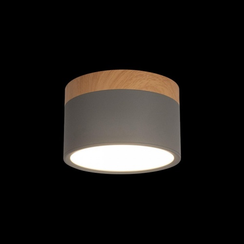 Накладной светильник Loft it Grape 10162 Grey в Нижнем Новгороде фото 2