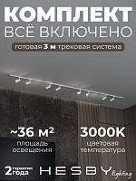 Комплект трековый Hesby Lighting Skylite №3 HSBL_kompl_S003_NI3W3K в Нижнем Новгороде